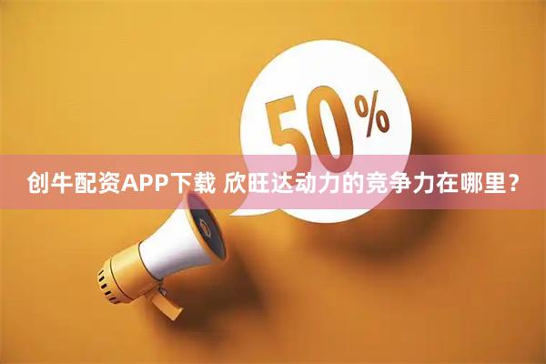 创牛配资APP下载 欣旺达动力的竞争力在哪里？